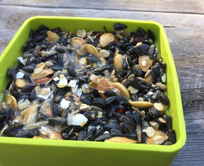 close up of homemade suet cake containing seeds, nuts, dried fruit and crushed egg shells